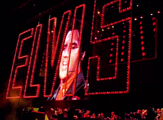 ELVIS PRESLEY